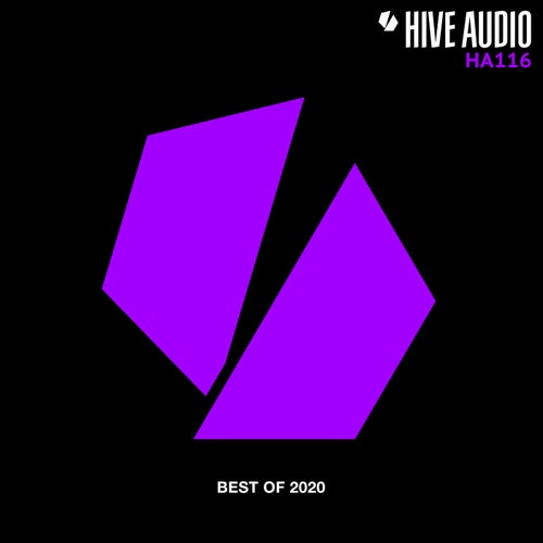 VA - Hive Audio Best of 2020 [HA116]